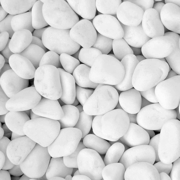 Meet your Posher, Glenn - Picture 1 of 1